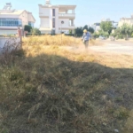 Didim genelinde temizlik ve yeşil alan bakımları yaz boyunca devam edecek 6 Didim genelinde temizlik ve yeşil alan bakımları yaz boyunca devam edecek
