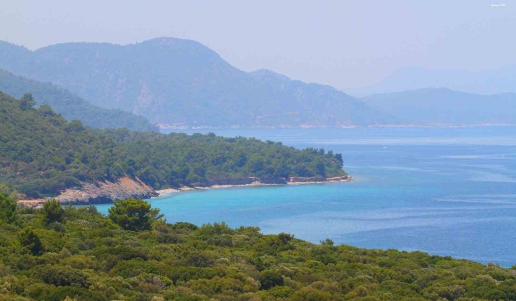 dilek yarimadasi milli parkina yangin yolu acilacak 9036d2b6067b