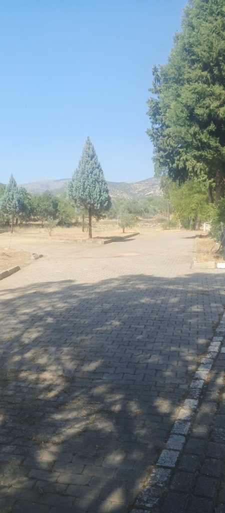 Dünyaca ünlü antik kentte kuru otlar temizlendi 2 dunyaca unlu antik kentte kuru otlar temizlendi d23487e9ae88