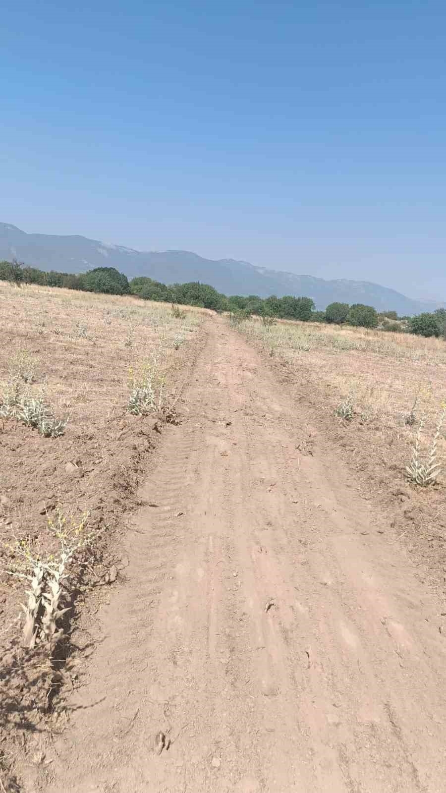 Dünyaca ünlü antik kentte tedbirler alındı