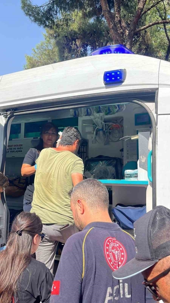 efelerde alacak verecek kavgasi 1 kisi yarali 9e4146d2fd7a