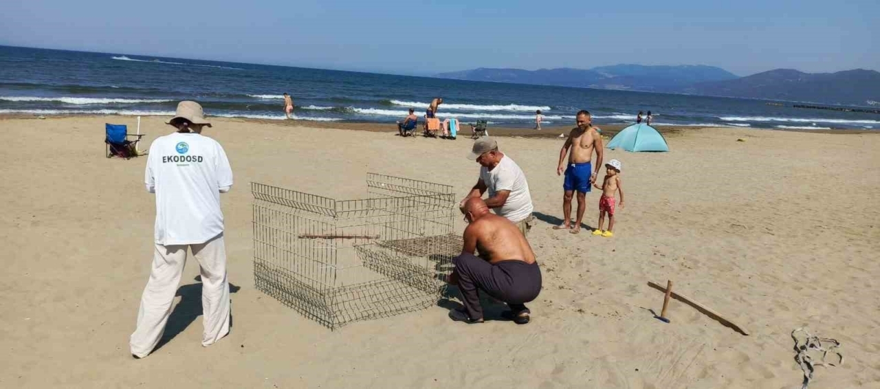 EKODOSD’tan Caretta Caretta uyarısı