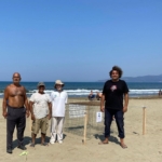 EKODOSD’tan Caretta Caretta uyarısı 2 EKODOSD’tan Caretta Caretta uyarısı