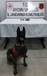 Germencik’te durdurulan araçta uyuşturucu ele geçirildi