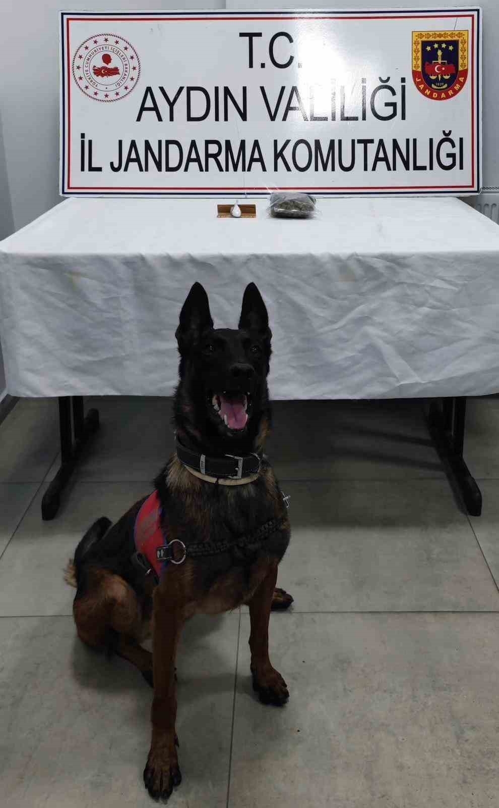 Germencik’te durdurulan araçta uyuşturucu ele geçirildi