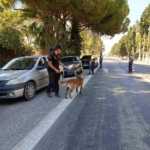 Jandarma Didim’deki festivalin güvenliğini sağlıyor 2 Jandarma Didim’deki festivalin güvenliğini sağlıyor