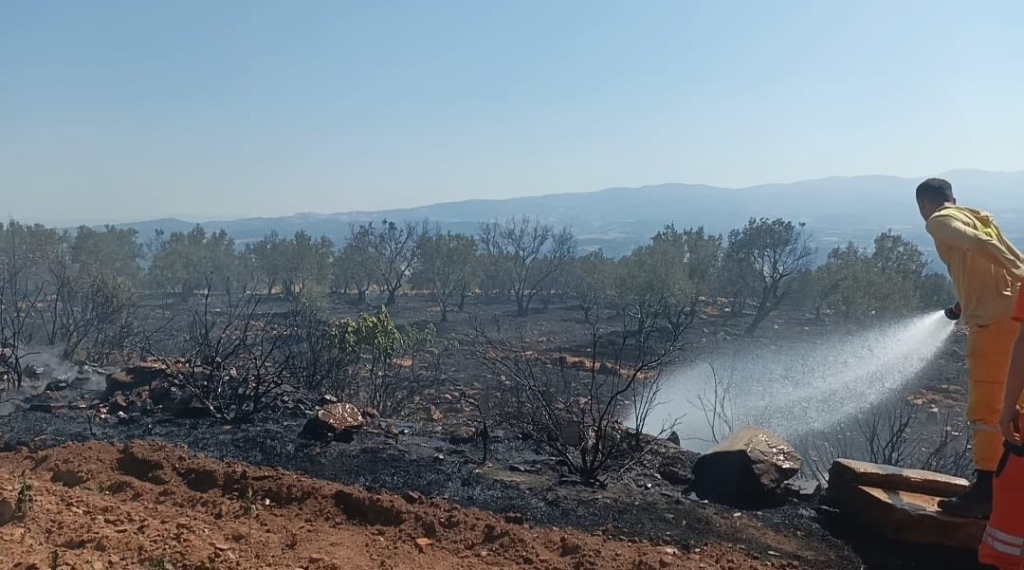 karacasuda tarim arazisi yandi baskan buyukyapici uyardi 2753c648d6d4