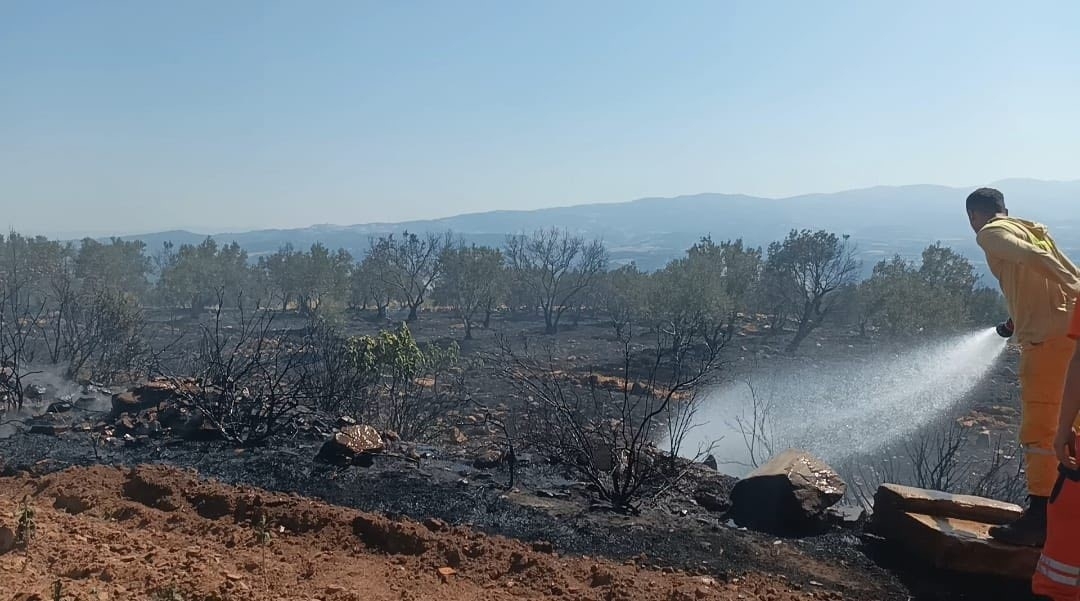 Karacasu’da tarım arazisi yandı, Başkan Büyükyapıcı uyardı