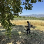 Karacasu’nun gözde yaylasında temizlik mesaisi 5 Karacasu’nun gözde yaylasında temizlik mesaisi