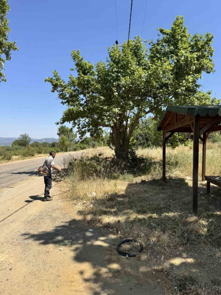 karacasunun gozde yaylasinda temizlik mesaisi c005c5f81649