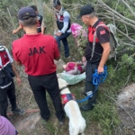 Kaybolan şahıs ormanlık alanda bulundu 2 Kaybolan şahıs ormanlık alanda bulundu