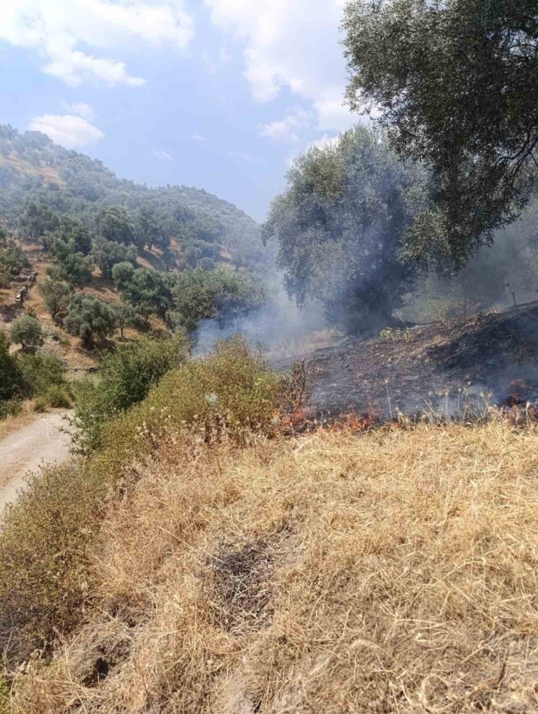 koskteki zirai alan yangini buyumeden sonduruldu ba68c67b5b1f