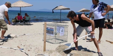 Kuşadası’nda caretta caretta yumurtaları zarar görmemesi için taşındı 44 Kuşadası’nda caretta caretta yumurtaları zarar görmemesi için taşındı