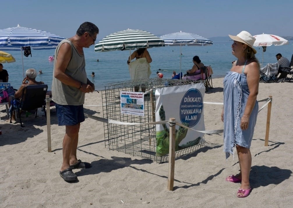 Kuşadası’nda ilk caretta caretta yuvası belirlendi