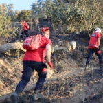 NAFAD bölgedeki yangınlarda aktif görev alıyor 7 NAFAD bölgedeki yangınlarda aktif görev alıyor