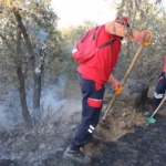 NAFAD bölgedeki yangınlarda aktif görev alıyor 6 NAFAD bölgedeki yangınlarda aktif görev alıyor