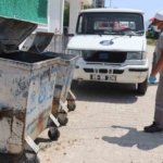Nazilli Belediyesi’nden haşere ile etkin mücadele 7 Nazilli Belediyesi’nden haşere ile etkin mücadele
