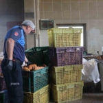 Nazilli’de fırınlar denetlendi 6 Nazilli’de fırınlar denetlendi