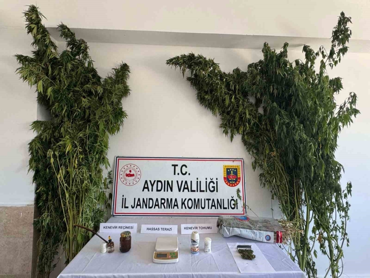 Nazilli’de uyuşturucu operasyonu