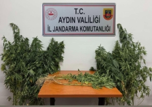 Nazilli’de uyuşturucu operasyonu
