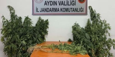 Nazilli’de uyuşturucu operasyonu