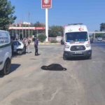 Aydın'da otomobilin çarptığı yaya hayatını kaybetti 3 Otomobilin çarptığı yaya hayatını kaybetti