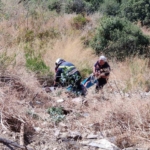 Patlıcan közlerken uçurumdan yuvarlandı 1 Patlıcan közlerken uçurumdan yuvarlandı