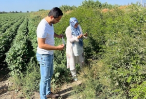 Söke’de ekipler sahaya indi, tuzaklar kontrol edildi