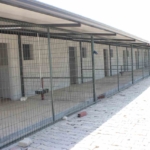 Sultanhisar’da hayvan barınağı projesinde geri sayım başladı 7 Sultanhisar’da hayvan barınağı projesinde geri sayım başladı