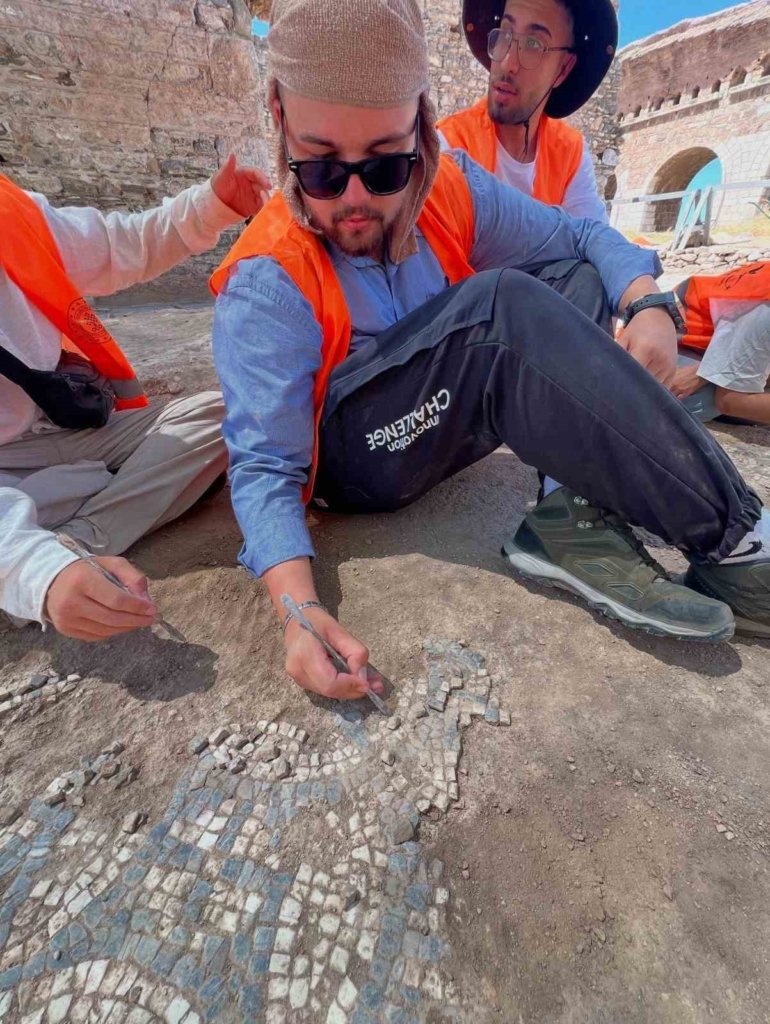 tralleiste calismalar mozaik havuzunda yogunlastirildi 29de4da57b72