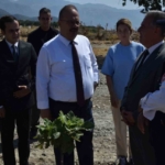 Vali Canbolat incir hasadına katıldı 6 Vali Canbolat incir hasadına katıldı
