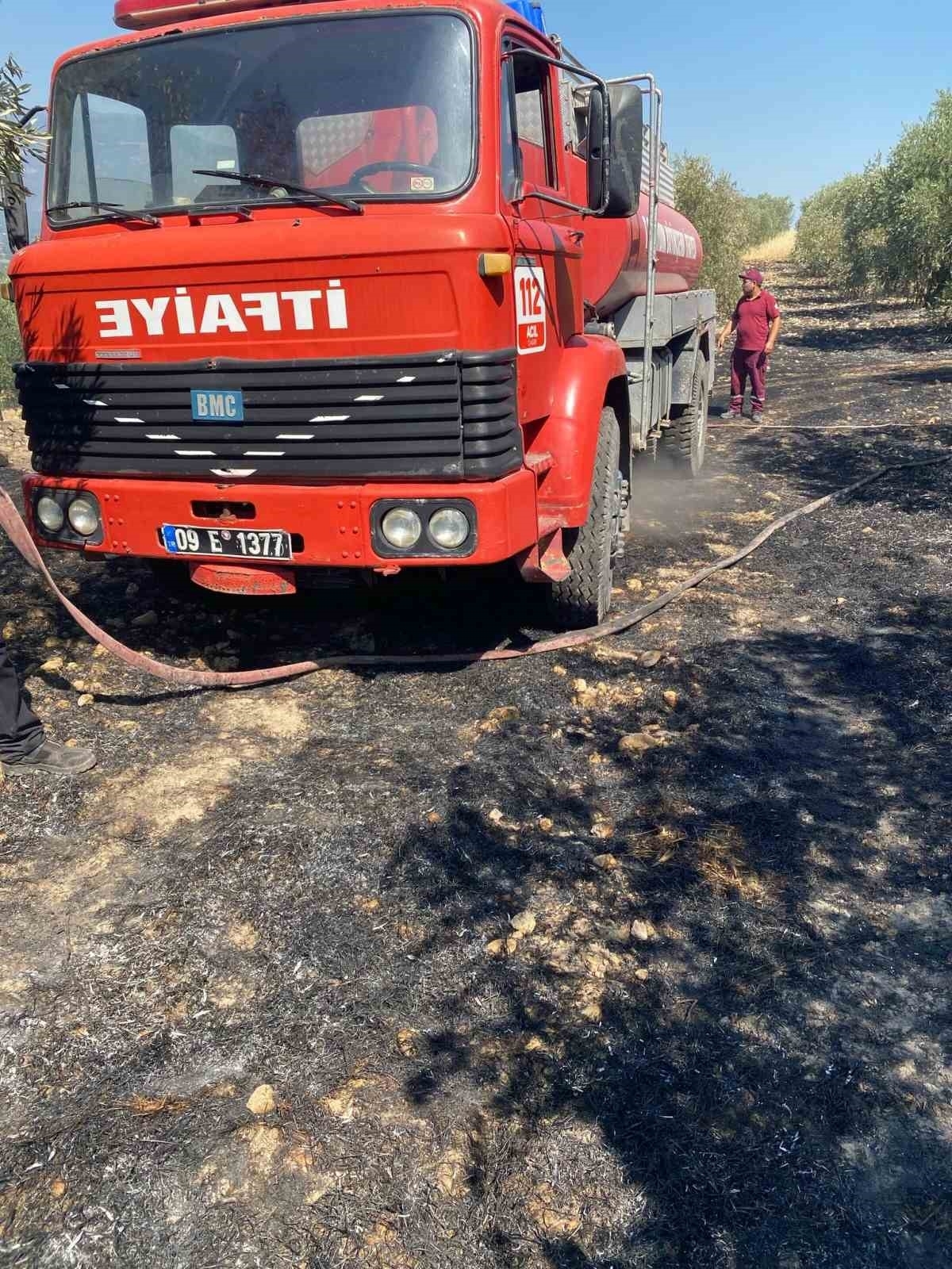 Zeytinlikte çıkan yangın hızlı müdahale ile söndürüldü