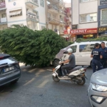 Aydın’da ağaç aracın üstüne devrildi 2 Aydın’da ağaç aracın üstüne devrildi