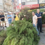 Aydın’da ağaç aracın üstüne devrildi 1 Aydın’da ağaç aracın üstüne devrildi