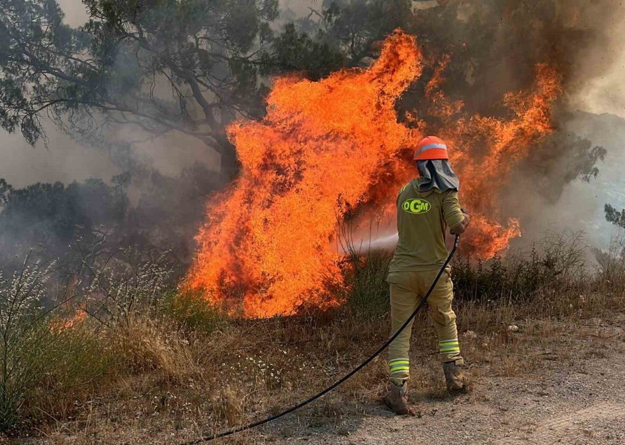 Aydın için alarm! 3 gün dikkat edin 7 Aydın’da ormanlar için kırmızı alarm