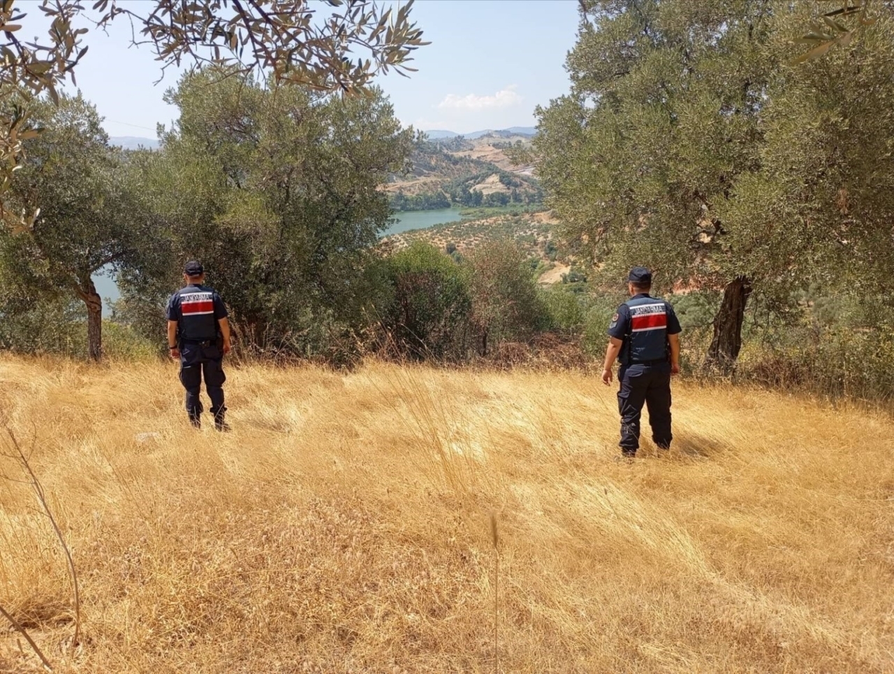 Aydın’da ormanlar jandarma gözetiminde 10 Aydın’da ormanlar jandarma gözetiminde