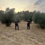 Aydın’da ormanlar jandarma gözetiminde 3 Aydın’da ormanlar jandarma gözetiminde