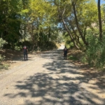 Aydın’da ormanlar jandarma gözetiminde 2 Aydın’da ormanlar jandarma gözetiminde