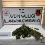 Aydın’da Uyuşturucu Operasyonu: 13 Şüpheli Jandarma Tarafından Yakalandı 5 Aydın’da uyuşturucu operasyonu: 13 şüpheli yakalandı