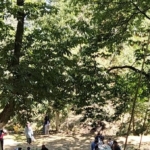 Aydın’da yaylalar cazibe merkezi oldu 6 Aydın’da yaylalar cazibe merkezi oldu