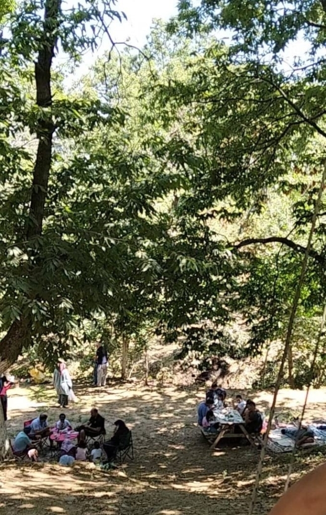 Aydın’da yaylalar cazibe merkezi oldu 3 aydinda yaylalar cazibe merkezi oldu 311bea8944d0