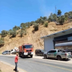 Aydın’da zirai alan yangını 5 Aydın’da zirai alan yangını