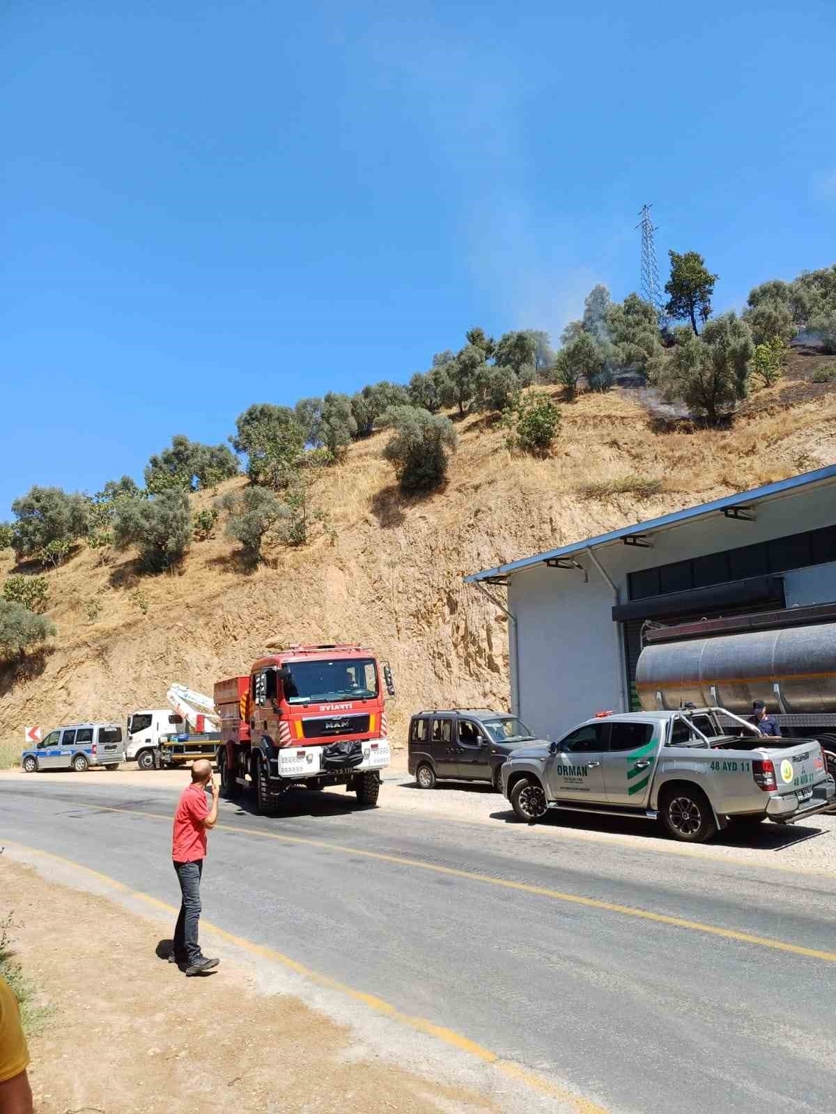 Aydın’da zirai alan yangını