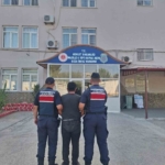 Bozdoğan’da uyuşturucu operasyonu: "Ormanlık alanda kenevir yetiştirmiş" 1 Bozdoğan’da uyuşturucu operasyonu: "Ormanlık alanda kenevir yetiştirmiş"