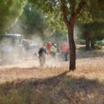 Didim’de yangınlara karşı örnek dayanışma 7 Didim’de yangınlara karşı örnek dayanışma