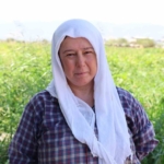 Domates işçileri çöl sıcaklarında saati 250 TL’ye ter döküyor 10 Domates işçileri çöl sıcaklarında saati 250 TL’ye ter döküyor