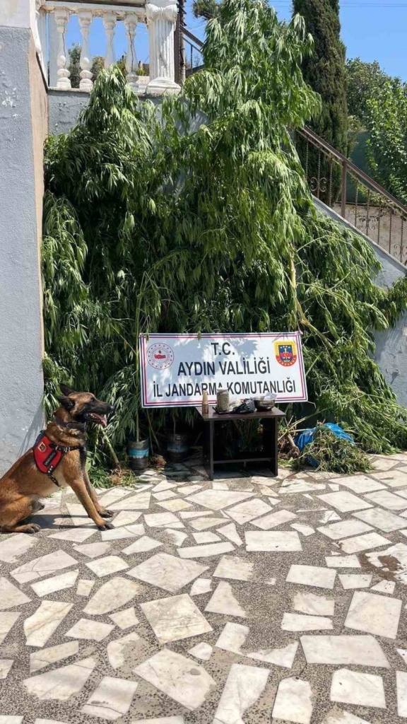 evinin bahcesine saklamak istedi narkotik kopegine takildi c620efd5bf9b