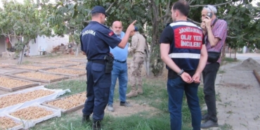 Germencik’te incir hırsızlığına karşı jandarmadan sıkı denetim 5 Germencik’te incir hırsızlığına karşı jandarmadan sıkı denetim