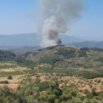 Germencik’te orman yangını