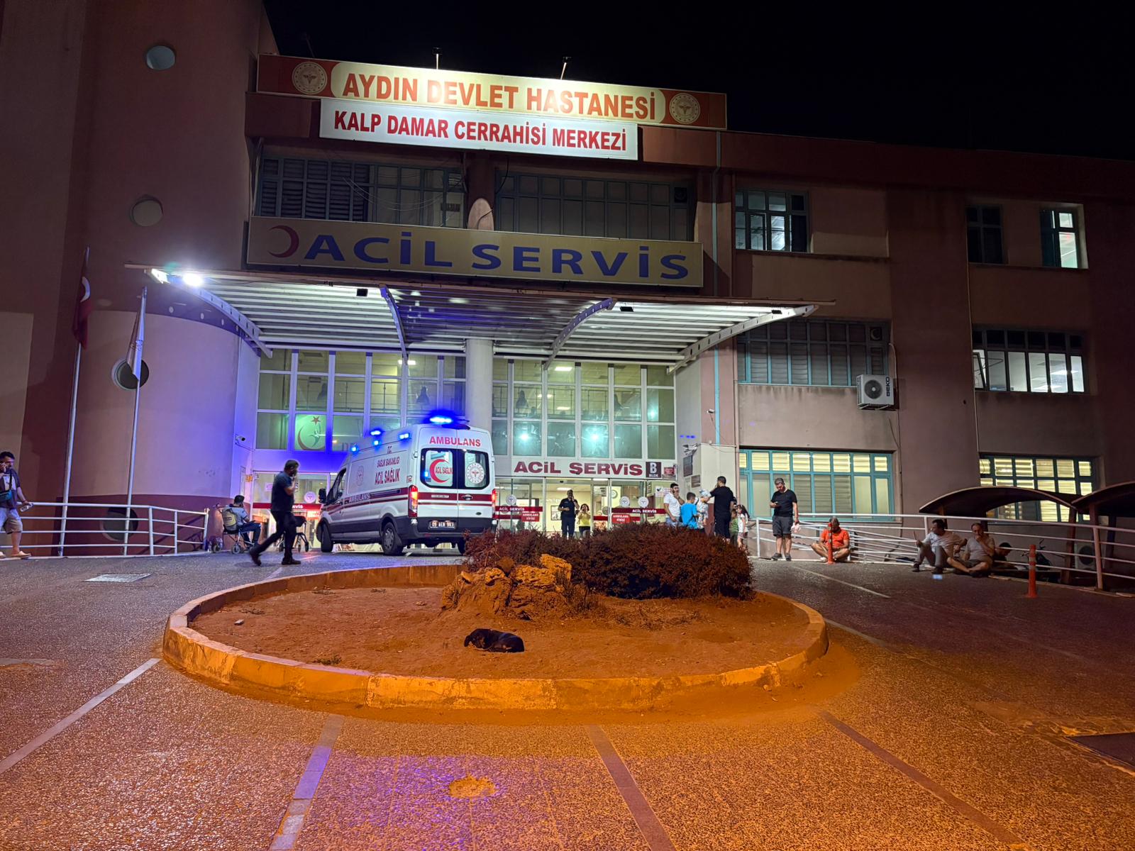 Aydın’da otomobil ağaca çarptı: 4 yaralı